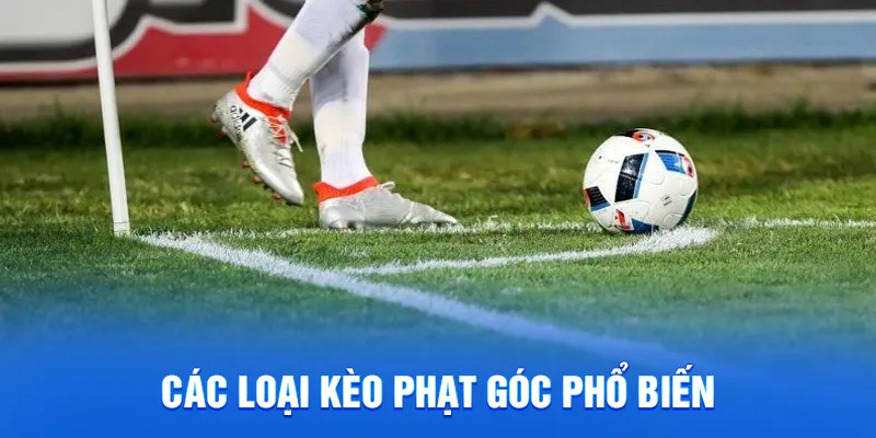Kèo Phạt Góc 78WIN - Cách Chơi Chi Tiếc Và Mẹo Thắng Lớn 2 Các loại kèo phạt góc phổ biến